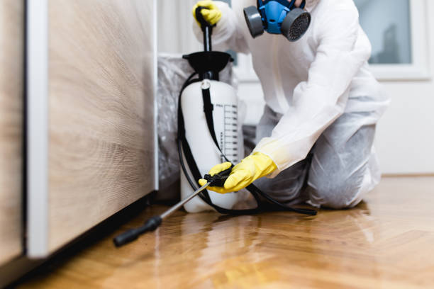 Best Mosquito Control Services  in Grand Meadow, MN