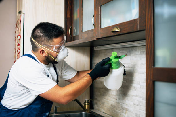 Best Pest Removal Services  in Grand Meadow, MN