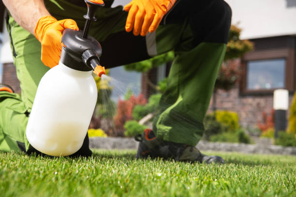 Best Best Pest Control Companies  in Grand Meadow, MN
