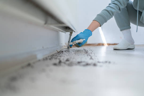 Best Residential Pest Control  in Grand Meadow, MN